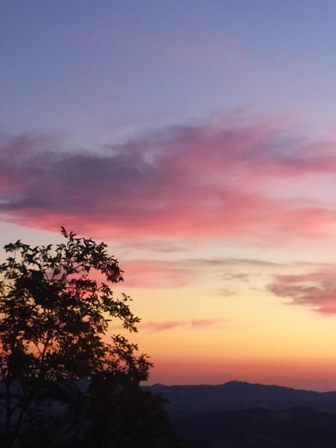 Fra Bosco E Cielo B&B Mercato Saraceno Bagian luar foto