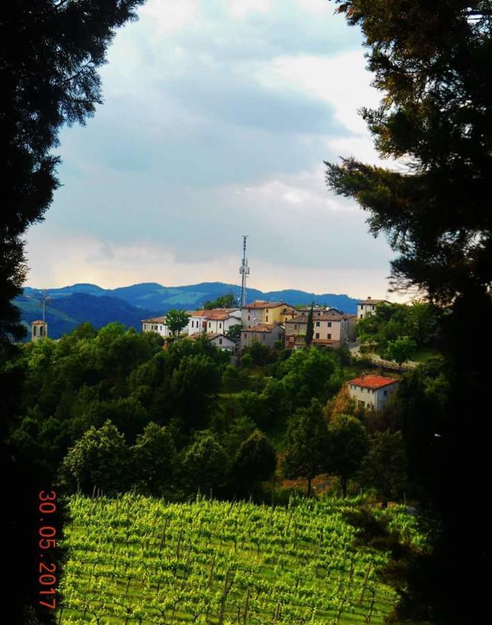 Fra Bosco E Cielo B&B Mercato Saraceno Bagian luar foto