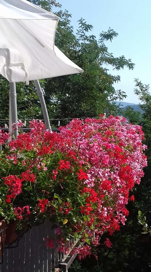 Fra Bosco E Cielo B&B Mercato Saraceno Bagian luar foto